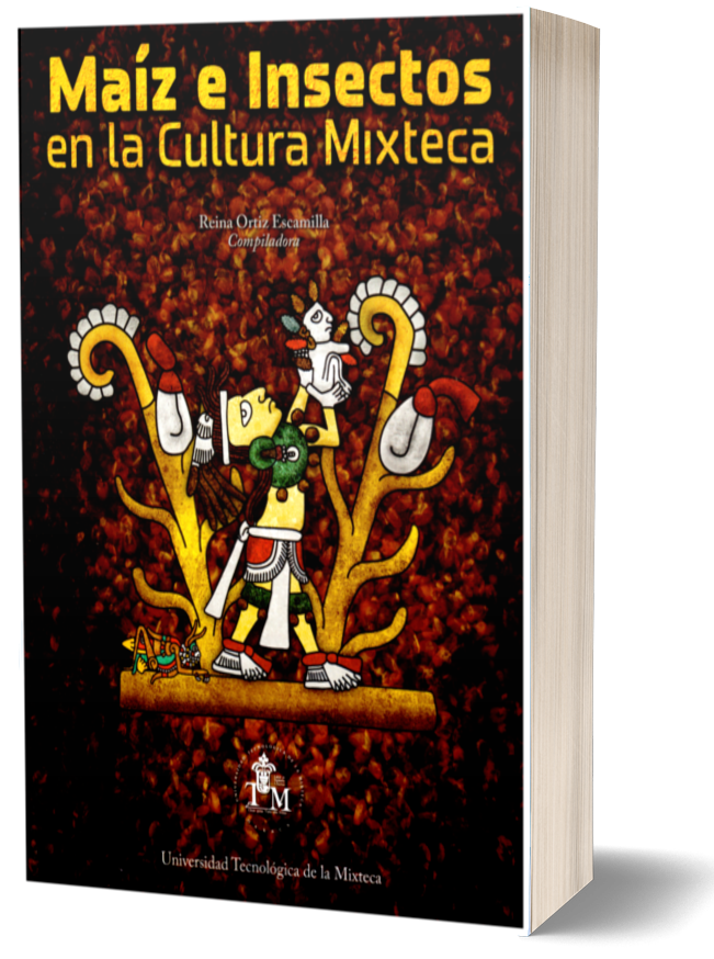 Maíz e insectos en la cultura Mixteca